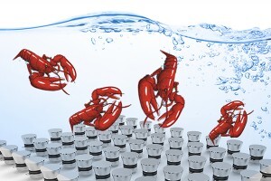 生蠔如何快速清洗?超聲波清洗機讓生蠔小龍蝦田螺大閘蟹更美味 生蠔如何快速清洗?超聲波清洗機讓生蠔小龍蝦田螺大閘蟹更美味